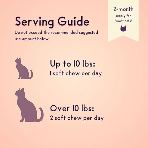 Miniatura 4 de Bioma felino probiótico prémium para gatos  Salud intestinal, alivio de la diarrea y apoyo inmunológico para gatos de interior y exterior