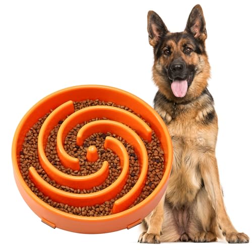 JASGOOD Slow Feeder Dog Bowl - Anti-Gulping, Prevents Bloat &