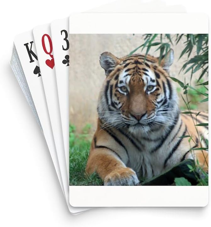 CafePress Tiger_20180701_by_Jamfoto Standard Size Playing Cards