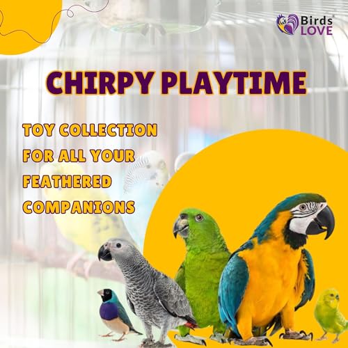 Birds-LOVE-Wood-Stars-and-Leather-Toy-for-Bird-Cage-Stand-or-Playgym-Bird-Toys-for-Medium-Parrots-Conures-Quakers-Caiques-Mini-Cockatoos-and-African-Grey