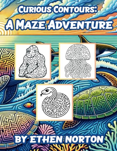 Curious Contours: A Maze Adventure