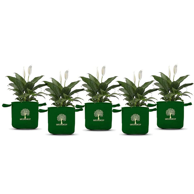 Image of GREENSHEEP Geo Fabric Grow Bags for Terrace Gardening, Balcony, Vegetables, Plants, Fruits and Flower with Handles - Breathable and Reusable Plant Bags for Indoor (Green) (Pack of 5) (Size-6x6)