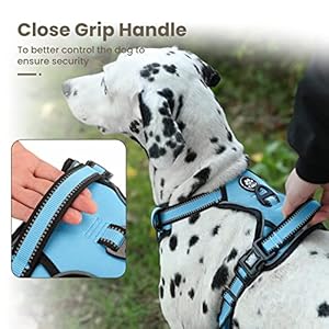 Furryfection dog harness | no pull dog harness | reflective oxford | padded handle | 4 adjustable straps | 2 leash clips | no choke pet vest harness for small medium large dogs | blue | m   cucciolini doodles
