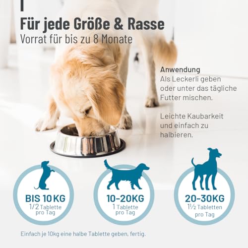 ReaVET Gelenktabletten für Hunde – Mit Grünlippmuschel, Glucosamin, MSM & Teufelskralle – Unterstützt Gelenkfunktion & Beweglichkeit – Bewährt bei älteren & aktiven Hunden – 180 Stück