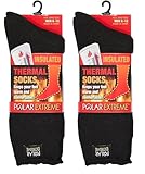 Polar Extreme Men's Thermal Sock Pack of 2