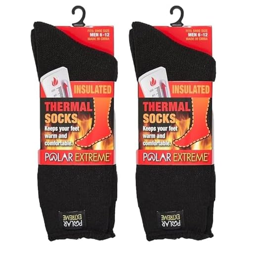 Polar Extreme Men's Thermal Sock Pack of 2