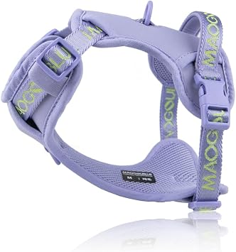 Escape Proof No Pull Dog Harness, Adjustable Vest with Handle & Dual Leash Rings, Soft Padded Mesh for Large Medium Small Dogs, Walking Training Outdoor Use