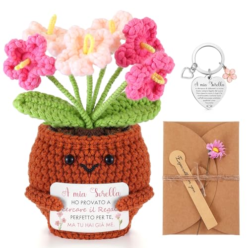 Skylety 3 Regali per Amica Sorella Piante in Vaso Lavorate