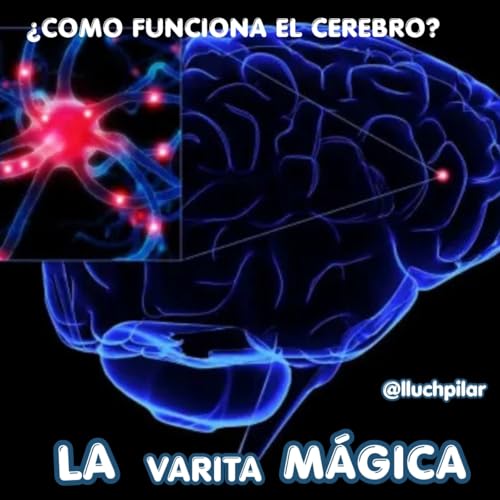 La Varita M&aacute;gica "&iquest;Como funciona el cerebro?"