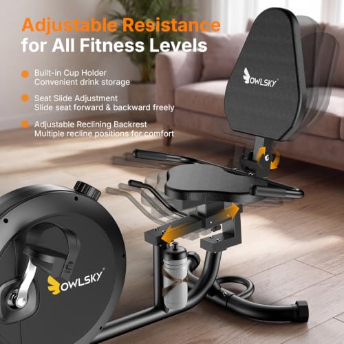 Image of OWLSKY Recumbent Exercise Bike for Home Gym, Magnetic Stationary Bike with 16-Level Resistance, Quiet 15LBS Flywheel, 300LBS Capacity, Low-Impact Cardio & Physical Therapy