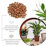 GebEarth B0FZL2R3VK lato 2