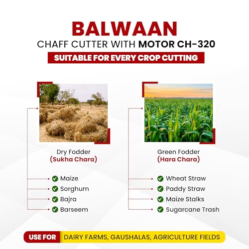 Image of BALWAAN Krishi Chaff Cutter with 3 HP Motor 2800 RPM | 4 Blades | 600kg /h Capacity|CH-320