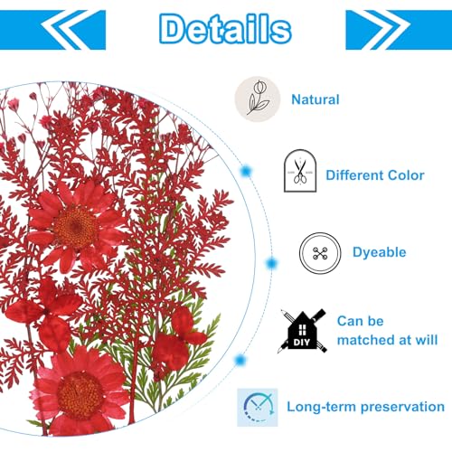 Flores secas prensadas naturales rojas para manualidades miniatura 3