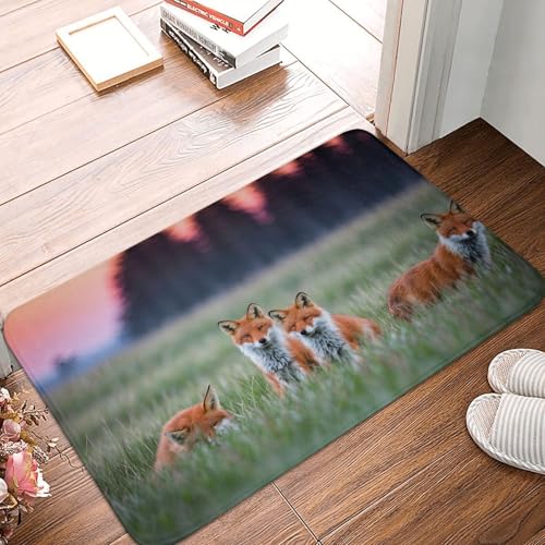 PHAYAH Paillasson à motif renard de prairie 40,6 x 61 cm pour extérieur, intérieur, entrée, jardin, garage, terrasse, maison, porche, décoration