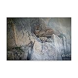 Mountain Mists Cougar by Ron Parker, 30x47-Inch