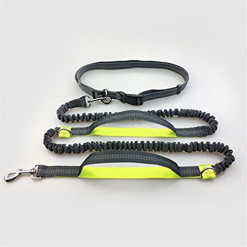 Peting Stretchable Manche Nylon chien à laisse avec Bungee réfléchissants Bundled Parfait pour courir, marcher, la formation