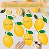 Wonmon 50 PCS Lemon Cutouts for Bulletin Board Decorations, Lemon Cutout Paper Cut-Outs Cardboard for Classroom Bulletin Board Wall Decor Teacher Student Craft Fruits Party Supplies, 6 in #2