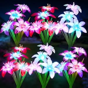 WdtPro 6 Pack Solar Lights Outdoor Garden, Upgraded Solar Garden Lights with 24 Enlarged Blooming Lily Flowers, 7 Color Changing Waterproof Solar Lights for Outside Yard, Patio, Decor, Gifts
