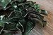 Silk Road Home Magnolia Wreath 24 Inch for Front Door Adjustable Leaves