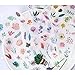 Plant Stickers 24 Sheets 520 Non-Repeating Green Cute Cactus Watercolor Plant Decorative Stickers for Stationery Stick Label DIY Diary Scrapbook Planner Album Journal Laptop Decoration