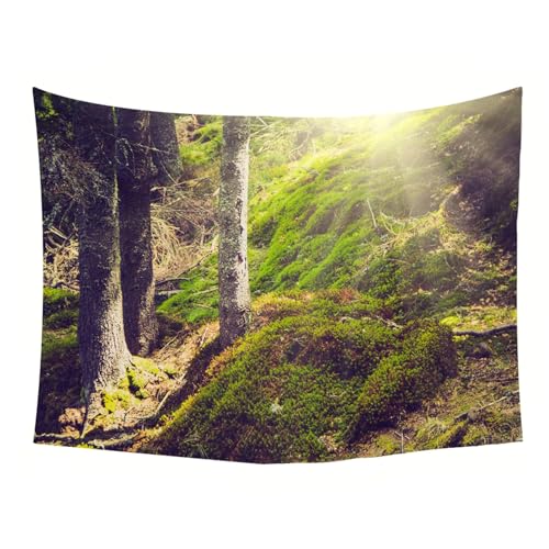 Tenture murale grand format 350x256 cm pour masquer les murs - 5
