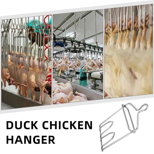 Cône d'abattage volaille pour simplifier la saignée propre des poulets - 8