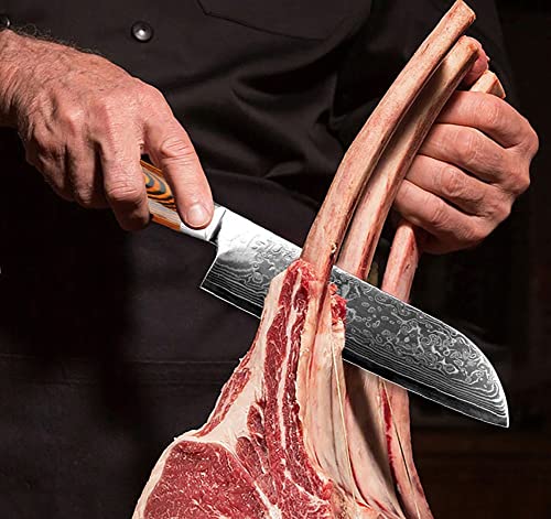 Set Cuchillos Cocina 3 Piezas Acero Aleación miniatura 5