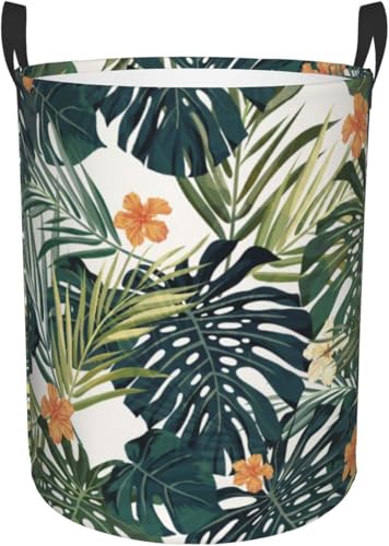 h[oXPbg FƂǂ̃V̖ 󕨗p H eʕzGݎ[{bNX @\ {bNX Aj LN^[ 킢 ~^ M