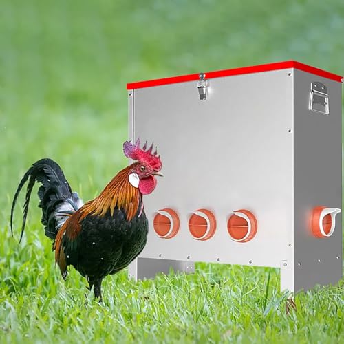 Comedero automático para aves de corral con pestillo y asa, dispensador de alimentos de gran capacidad resistente a la intemperie para pollos, bantamos, faisanes