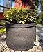 Smart Pots 3-Gallon Smart Pot Soft-Sided Container, Black