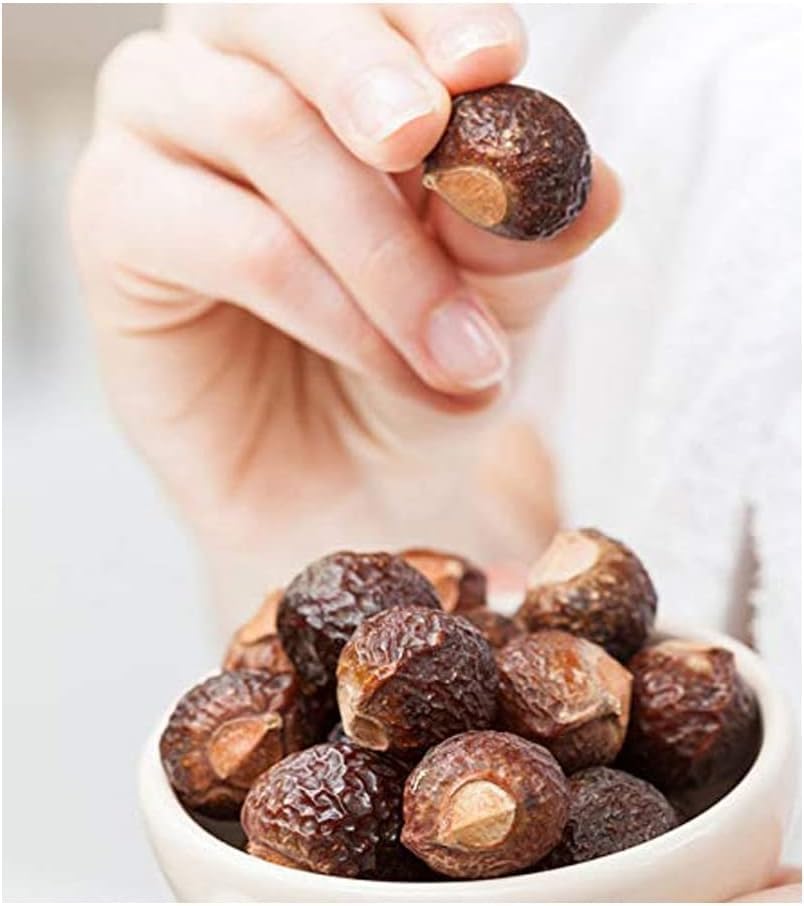 Natural Reetha Soap Nuts – Aritha/Areetha/Kunkudukaialu | Whole Dried for Reetha Powder, Shampoo & Oil | Herbal Hair Care for Men & Women (100g) image 3