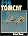 F-14 Tomcat (111P)