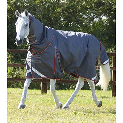 Couverture cheval imperméable Buster 50g pour protéger votre monture au paddock