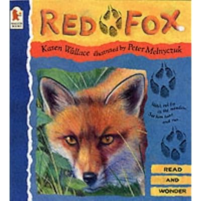Red Fox