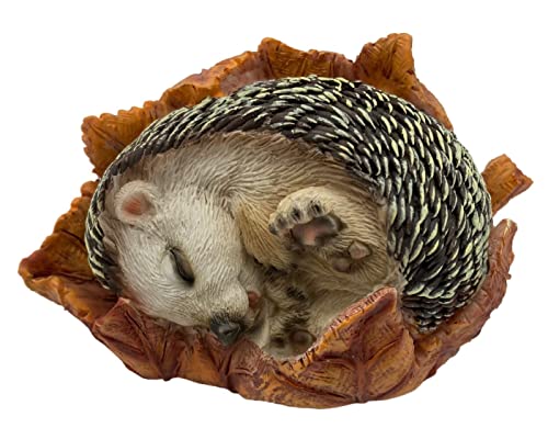 Garden Home Decor - Realistic Cute 14cm Hedgehog Resin Statue - Hand Painted Figurine Sculpture - Intricate Detail Suitable for Indoor or Outdoor Use - Weather Resistant Animal Lawn Ornament Gift