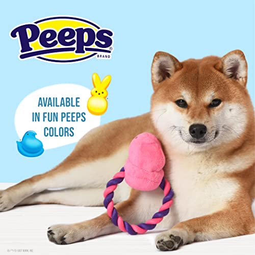 Peeps For Pets Plush Chick Rope Pull Toy For Dogs Squeaker Dog Toy, Pink/Purple | Adorable And Cute Dog Chew Toy | Squeaky Dog Toy To Add To Dog Toy Bin 6 Inch #TOP2