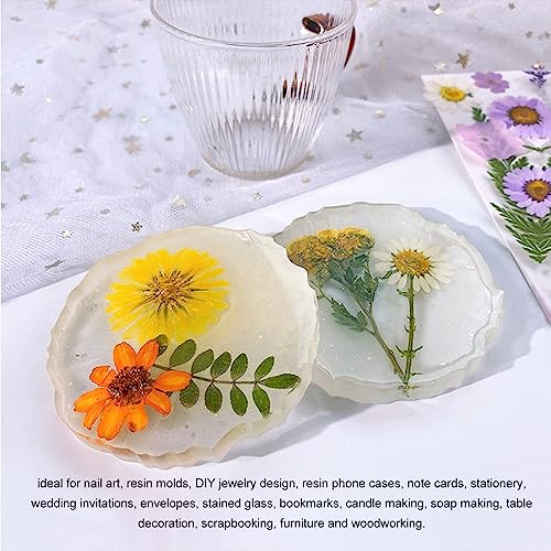 Kit de flores secas prensadas para manualidades 100 pcs miniatura 2