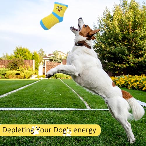 2 PCS Dog Toy Funny Dog Chew Toys Cute Expression Bite Toy Fun Sock Shape Stuffed Toys for Dogs Dental Health Small Medium Dogs