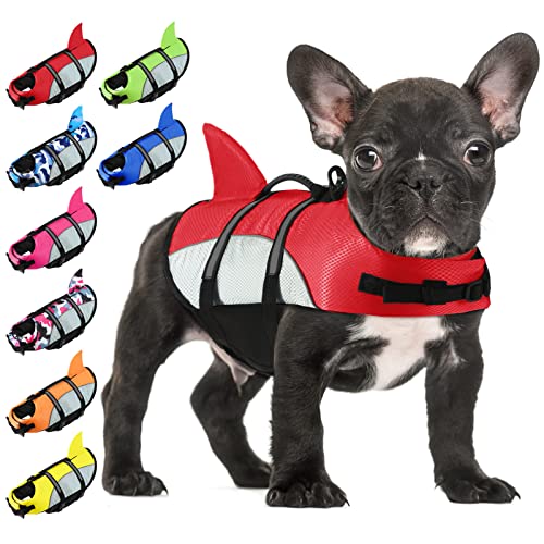 10 Best Life Jackets for Cats to Keep Your Feline Friend Safe and Stylish