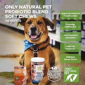 Only Natural Pet Probiotic Dog and Cat Supplement - Digestive & Gut Health Enzyme Formula, Puppy & Canine Digestive Chews, Best for Stomach Relief & Gas Aid - Soft Chews, 120 Count. Only Natural Pet Probiotic Dog and Cat Supplement – Digestive & Gut Health Enzyme Formula, Puppy & Canine Digestive Chews, Best for Stomach Relief & Gas Aid – Soft Chews, 120 Count.