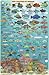 Grenada Dive Map & Reef Creatures Guide Franko Maps Laminated Fish Card