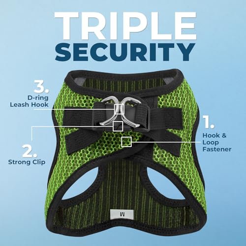 Image of Voyager Step-in Air All Weather Mesh Harness and Reflective Dog 5 ft Leash Combo with Neoprene Handle, for Small, Medium and Large Breed Puppies by Best Pet Supplies - Lime Green (2-Tone), XL