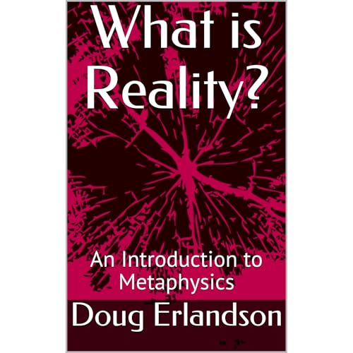 What is Reality? Audiolibro Por Doug Erlandson arte de portada