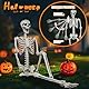 SIFOEL 180cm Halloween lebensgroßes Skelett Halloween posierbare Ganzkörperskelette mit beweglichen Gelenken für Halloween-Requisiten gruselige Party-Dekoration (180-2P)