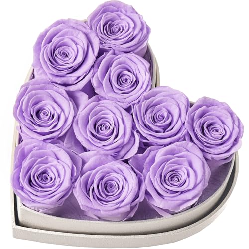 Beaulasting Roses Forever Flowers in Heart Shape Box 10-Piece Handmade Preserved Roses Last Over a Year Eternal Roses Gift for Wife Mothers Day Valentines Day (Golden Pattern Box, Light Purple Roses)