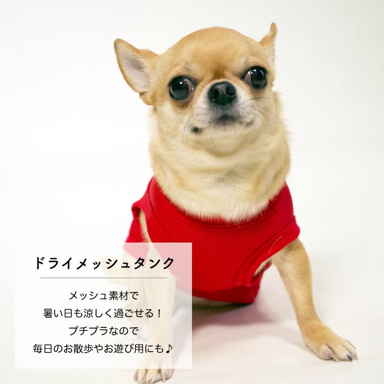 Amazon | SPIRAL-style ドライメッシュタンク グレー M 犬服 犬の服 