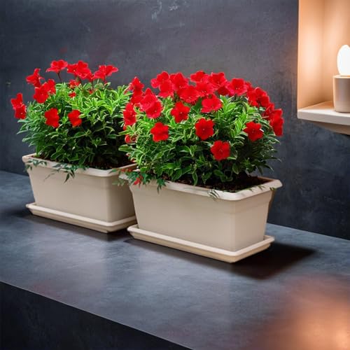 Stefanplast Vaso in Plastica Medio Rettangolare Coccio 80X39 H.34 - 6