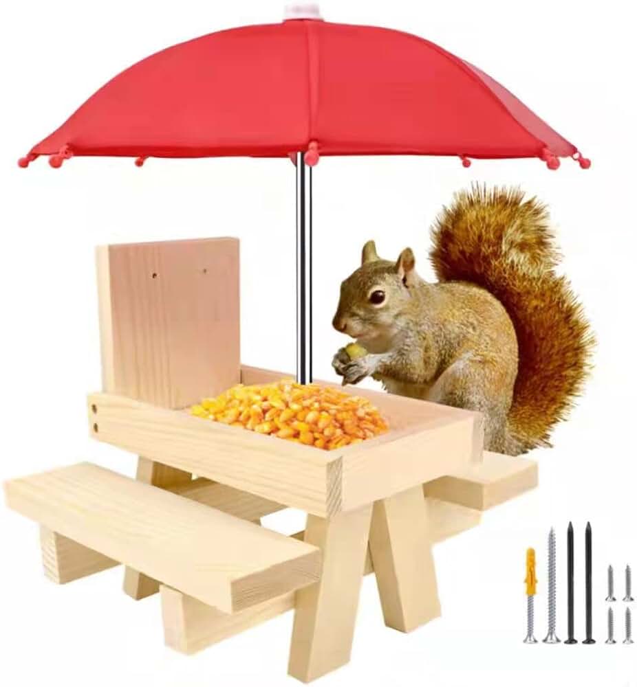 Amazon.co.uk Squirrel Feeders Squirrel Feeders / Squirrel Care Home