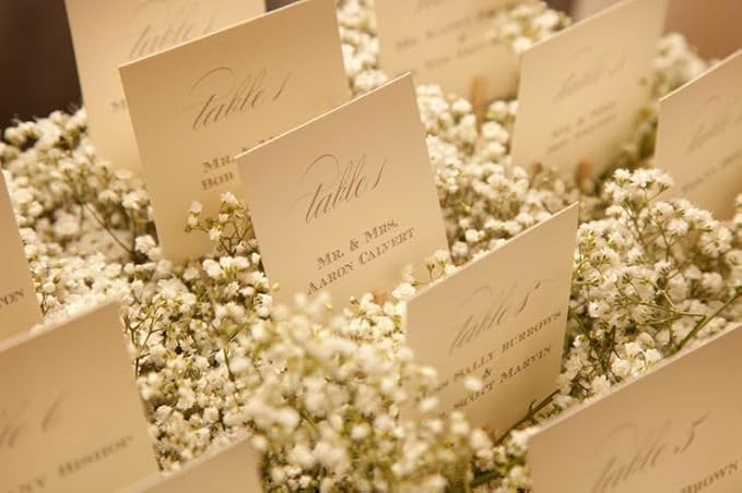 90+ Mini Flores de Aliento de Bebé Secas Naturales Ivory White miniatura 7