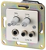Mikrofon mit einem 6,3-mm-Stecker und einer Schallquelle